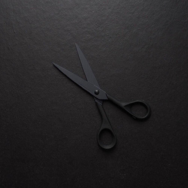 P-3-ALLX-SCISOR-15124-Hayashi Cutlery Allex Non Stick Craft and Office Scissors 15124.jpg