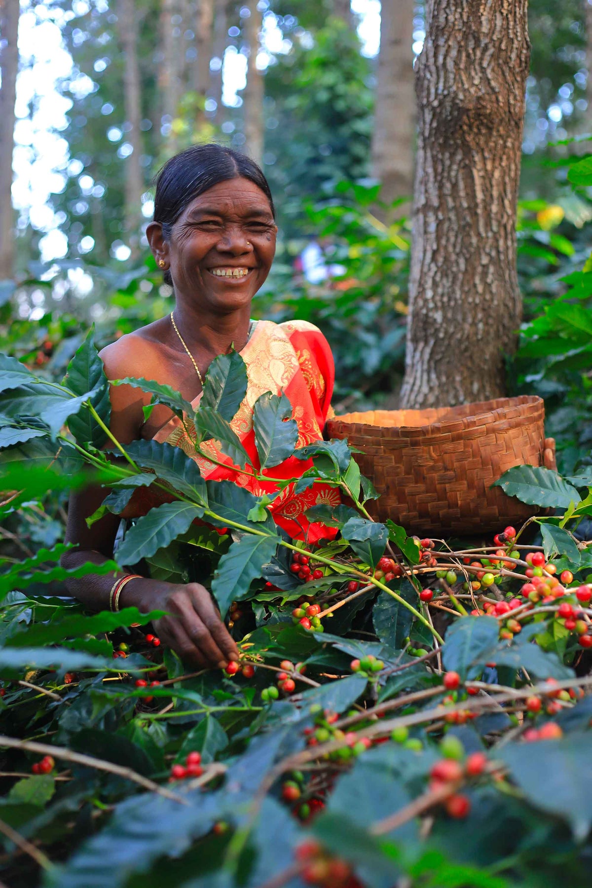Café haut de gamme : café équitable et bio pour méthode douces