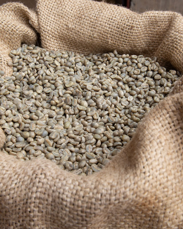Araku Coffee quelle différence entre café Arabica et Robusta