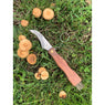 Couteau à Champignons 7 cm avec brosse Evasion Pradel Excellence - Mathon - 2