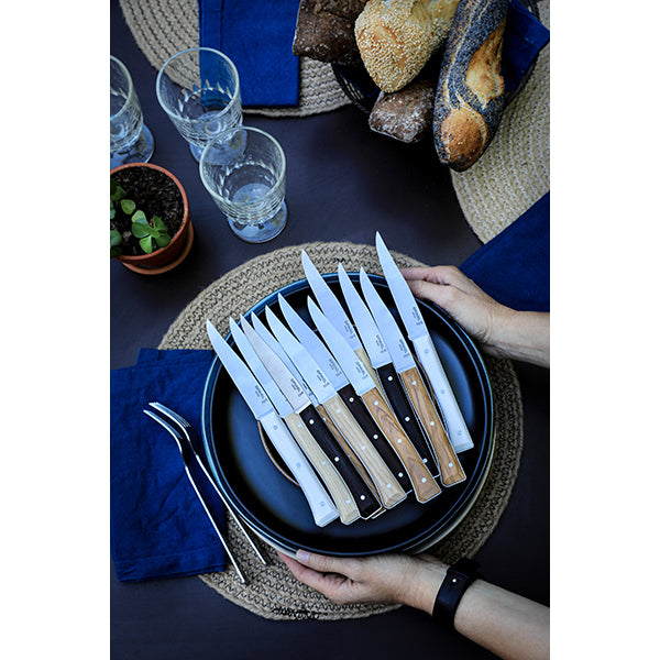 Coffret de 4 couteaux de table à lame lisse Facette blanc  Opinel - Mathon - 5
