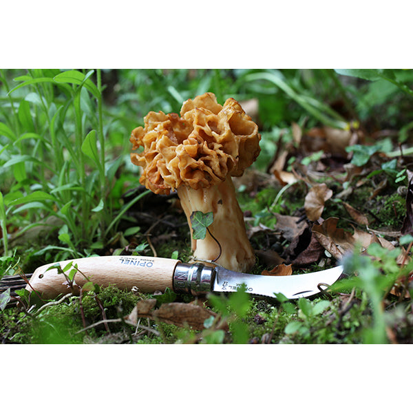 Couteau à champignons pliant N°08 lame inox 8 cm Opinel - Mathon - 3