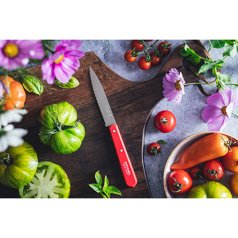 Couteau office N°113 lame crantée inox 10 cm rouge Opinel - Mathon - 2