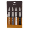 Set de 4 couteaux d