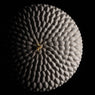 Moule silicone Honoré Silikomart - Mathon - 4