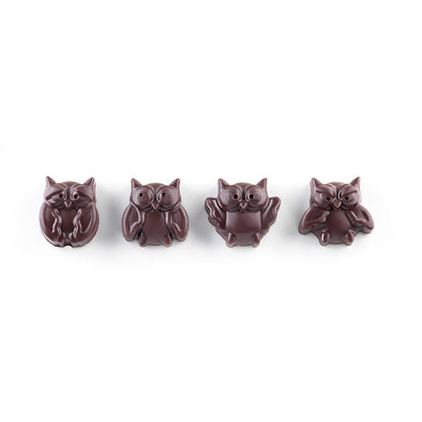 Moule en silicone 12 chocolats chouette Silikomart - Mathon - 1