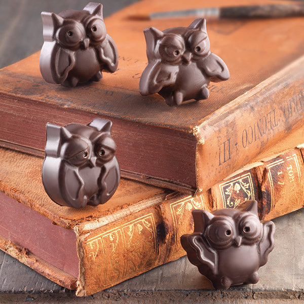 Moule en silicone 12 chocolats chouette Silikomart - Mathon - 4
