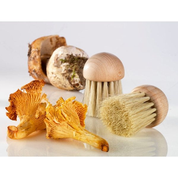 Lot brosse à champignons et couteau à champignons pliant N°8 - Mathon - 4