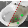 Lot de 2 sets de 15 pastilles détartrantes pour WC Wenko by Maximex - Mathon - 2