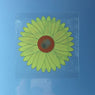 Set de 20 stickers attrape-mouches pour fenêtre Tournesol - Mathon - 1