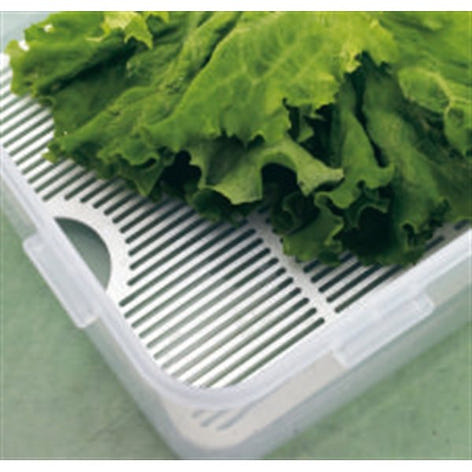 Boîte basse à salade et grille fraîcheur 3,9 L Lock and Lock - Mathon - 2