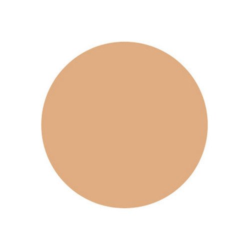 Naturactor Summer Cake Sweat Proof Water Based Foundation 0.56oz