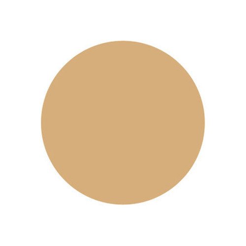 Naturactor Summer Cake Sweat Proof Water Based Foundation 0.56oz